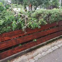 THL 1 Baum.jpg