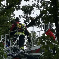 FF THL 1 Kleintierrettung.jpg